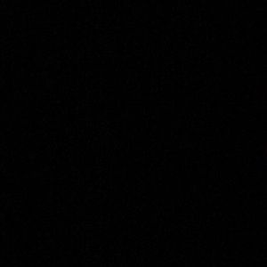 Meet your Posher, Dalila